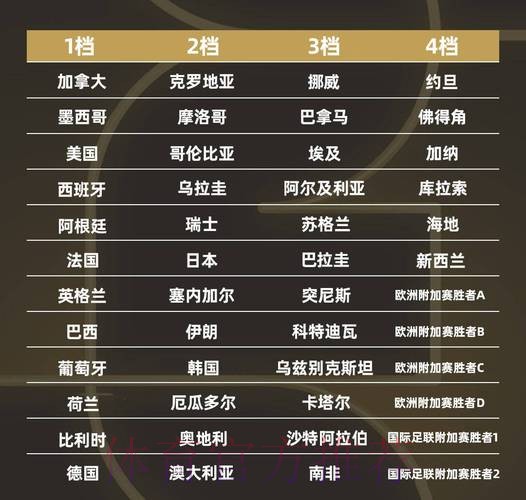 世界杯强队排名网站
